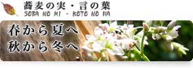 �����̎��E���̗t